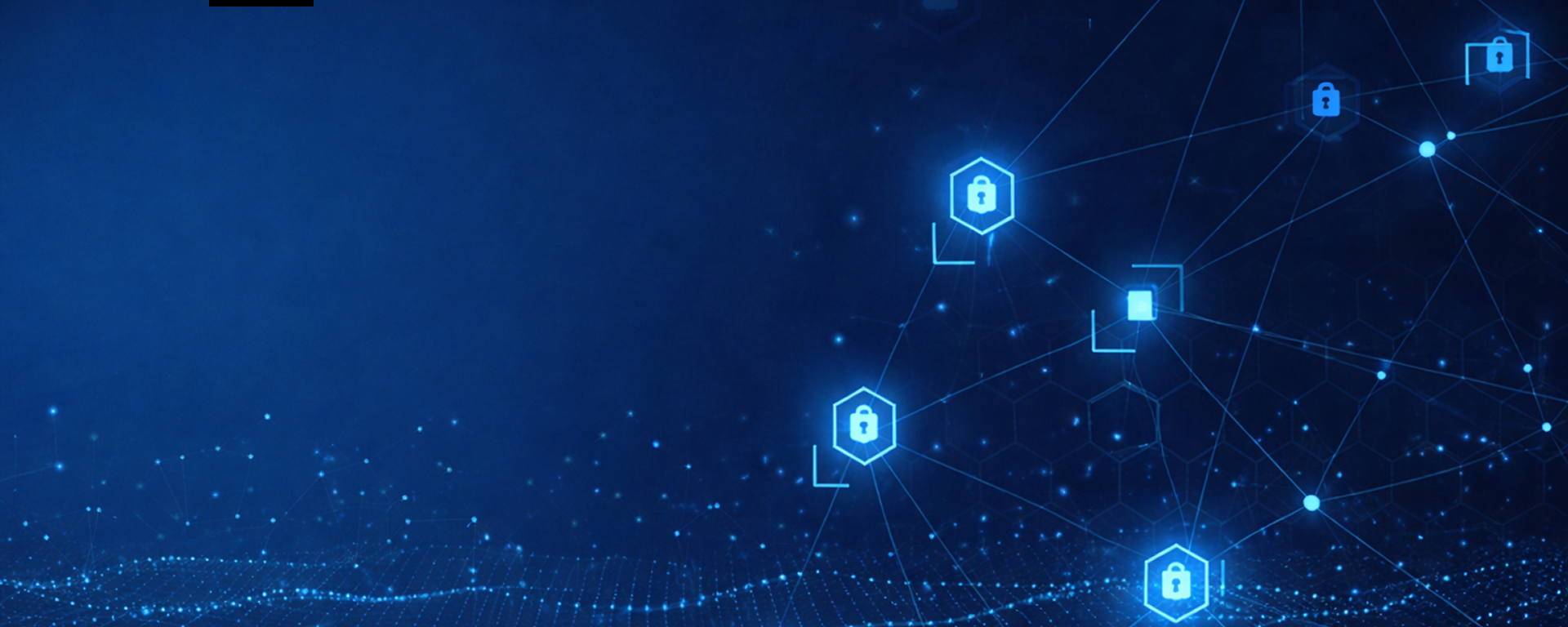 Bluewinds consulting expertise